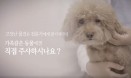 `자가진료는 동물학대` 대국민 홍보할 수의사 성금 모은다