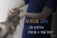 [카드뉴스] 반려동물 자가진료 금지，보호자는 무얼 할 수 있을까요？