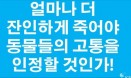 [공동논평] 얼마나 더 잔인하게 죽어야 동물의 고통을 이해할 것인가？