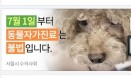 반려동물 자가진료 금지, 포털사이트·영화관 홍보 개시