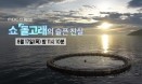 쇼 돌고래의 슬픈 진실…8월 17일 MBC 스페셜