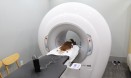 이비치동물치과병원, 치과용 콘빔 CT 도입‥뼈·치아 영상 특화