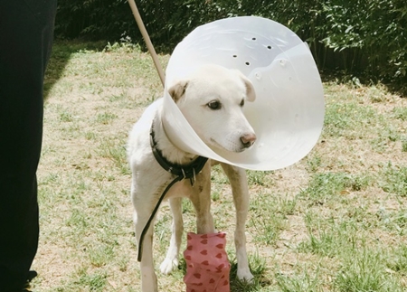 20170925storyfunding2