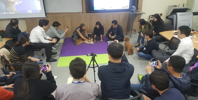 동물재활학회 실전 교육에서  각종 재활치료법을 직접 시연했다.