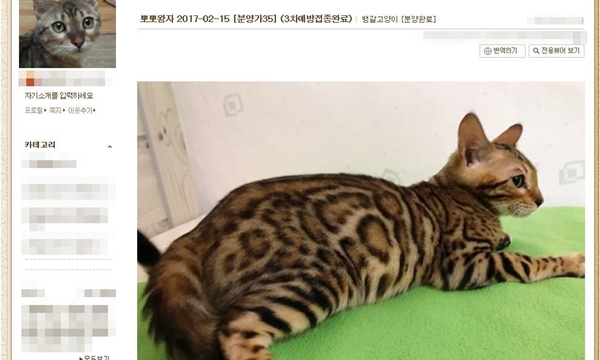 무허가 분양업자가 판매창구로 활용한 인터넷 블로그 (자료 : 대한수의사회 불법동물진료신고센터)