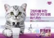 `1일 1습식` 고양이 주식 습식사료로 영양·수분 챙기기