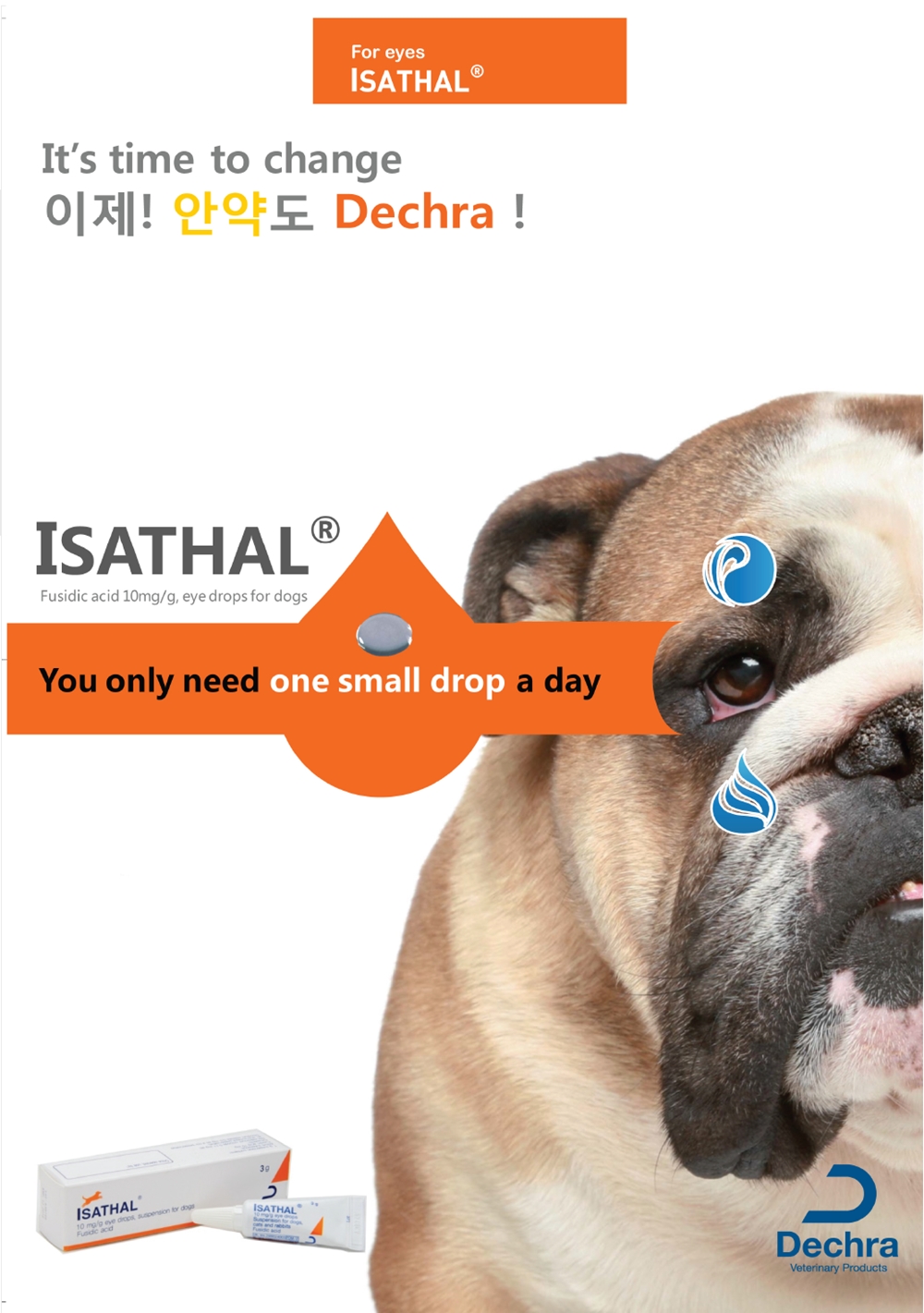 20180125dechra_isathal1