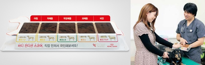 로얄캐닌이 제공하는 BCS 키트(왼쪽). 반려동물의 비만 정도를 설명하는데 도움을 준다(오른쪽).
