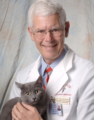 토니 버핑턴 교수