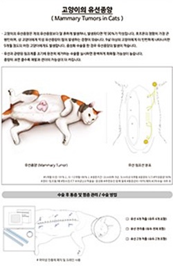 20180425 SAHA AMC guideline