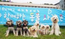 [포토뉴스] 시민들과 함께 한 충남대 수의대 `동물사랑 큰잔치`