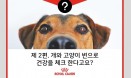 [로얄캐닌 앰버서더 카드뉴스②] 개·고양이 변으로 건강을 체크한다고요？