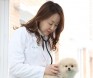 동물병원 11곳 전자차트 분석 결과，반려견 내원 1위 질환은 `피부질환`