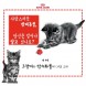 [로얄캐닌 앰버서더 카드뉴스④] 고양이와 탄수화물에 대한 오해