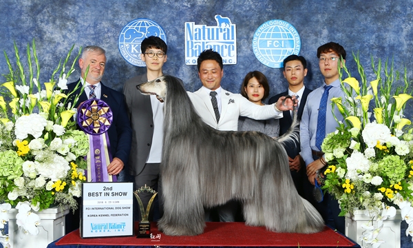 지난해 6월 FCI 도그쇼에서 입상한 황철용 교수(왼쪽 두번째)의 아프간하운드