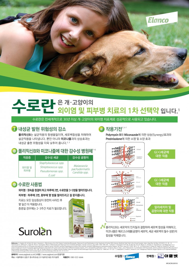 201901 수로란 – 데일리벳