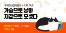 `가슴으로 낳아 지갑으로 모셨다` 케이캣페어 11∼13일 코엑스에서 개최