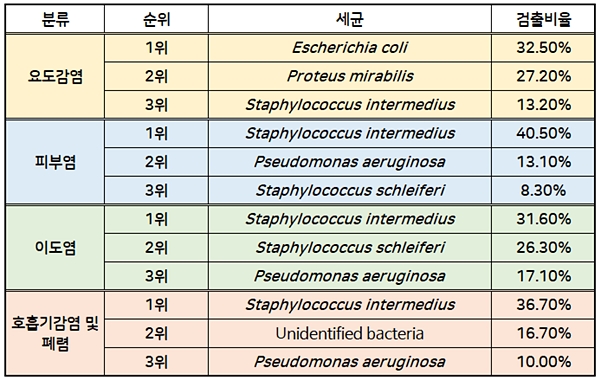 2018년 4사분기 팝애니랩에 의뢰된 검체의 임상증상별 주요 검출 세균