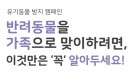 [반려동물 입양 전 생각할 것] 강아지 기르기 전에 고려해야 할 사항은？