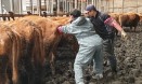 전남대 수의대 `동맥`，보성 축산농가에서 진로 체험학습