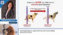 비만 반려동물，다이어트 성공 이후 `체중 유지관리` 더 중요하다