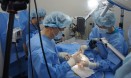 제4회 수의외과 3D 라이브 서저리 교육 마무리…7월까지 매달 교육