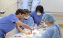 아시아 유일 `ISVPS 자격 취득` 수의사 교육 과정 참관기 in 일본