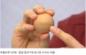 [위클리벳 187회] 달걀 껍데기 10자리 번호，무슨 뜻일까요？