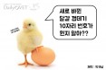 [카드뉴스] 계란 껍데기 10자리 번호의 의미：프시케