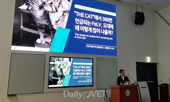 20190421baeksan_felv