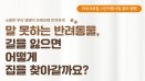 서울시수의사회 ˝내장형 동물등록제 활성화 캠페인 시작˝