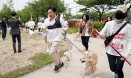 `2019 제주 반려동물 페스티벌` 개최…제주도수의사회 참여 돋보여