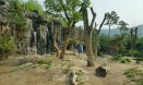 서울대공원，아시아 동물원 최초 미국동물원수족관협회 AZA인증 도전