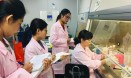 미얀마 공무원 7명에게 구제역 진단 교육한 검역본부