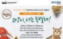 `대전 고양이 집사 모여라` 뉴트로 캣세미나 6월 2일 개최