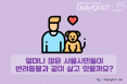 [카드뉴스] 얼마나 많은 서울시민이 반려동물과 살고 있을까：프시케