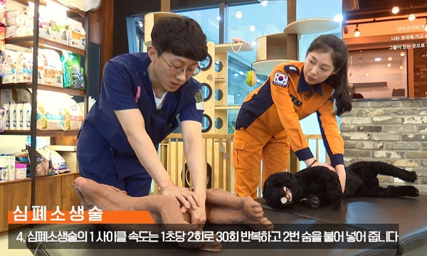 (소방청 반려동물 응급처치법 교육 영상 캡쳐)