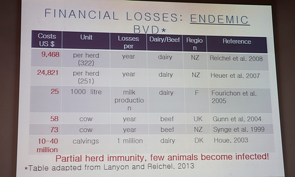 BVD로 인한 경제적 피해 (자료 : 크리스티안 귀다리니 박사)