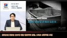 고양이 화장실 문제는 삶의 질을 좌우한다
