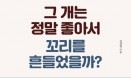 [신간] 그 개는 정말 좋아서 꼬리를 흔들었을까？：설채현 수의사