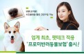 반려견 비문인식 적용한 펫보험 출시, DB손보 프로미 반려동물보험
