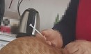 고양이에 주사 놓은 동물보호단체 임원, `불법 자가진료` 벌금형