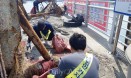 생물다양성 보전 위해 강의도 듣고 서식지 보전활동도 펼친 KAZA
