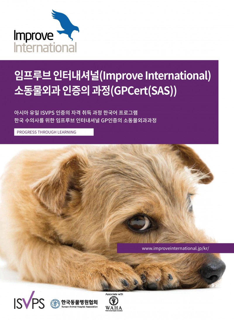 20190709improve international1