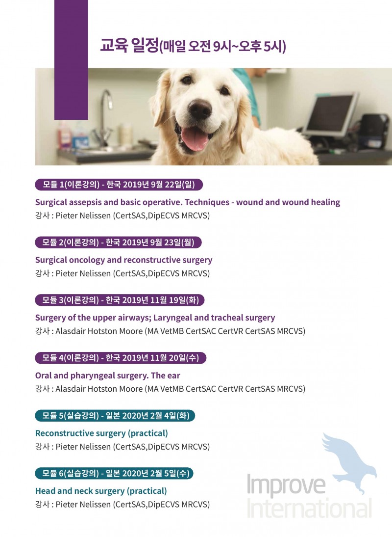 20190709improve international3