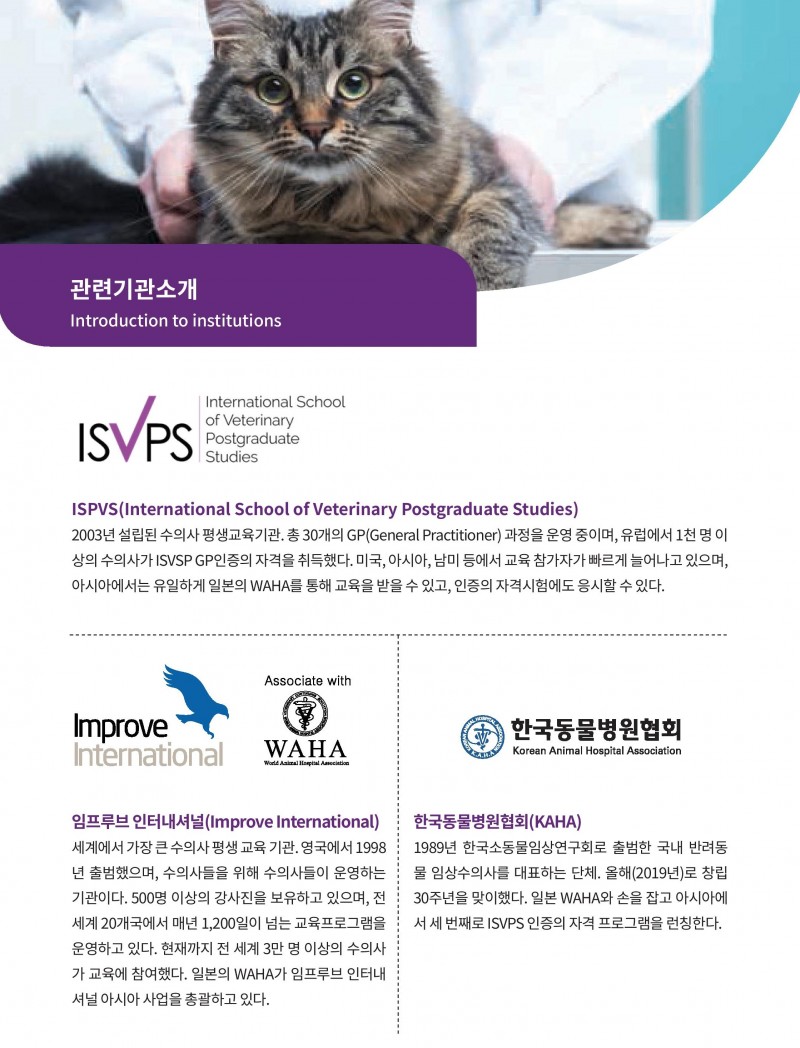 20190709improve international7