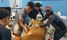 청주동물원·전북 전주동물원，동물 건강검진 협력진료 추진