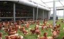 동물복지축산 인증，농가 인증에서 제조·가공시설까지 확대