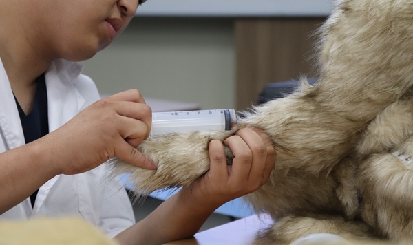 Critical care 모델에서는 기본적인 채혈실습도 가능하다