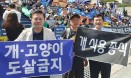 [포토뉴스] 말복에 개식용 금지 외친 수의사단체·동물단체